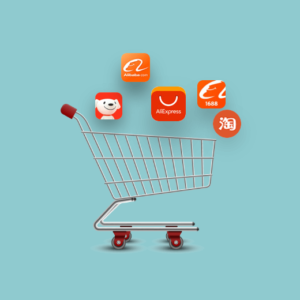 Custom Price - Purchasing & Shipping For You